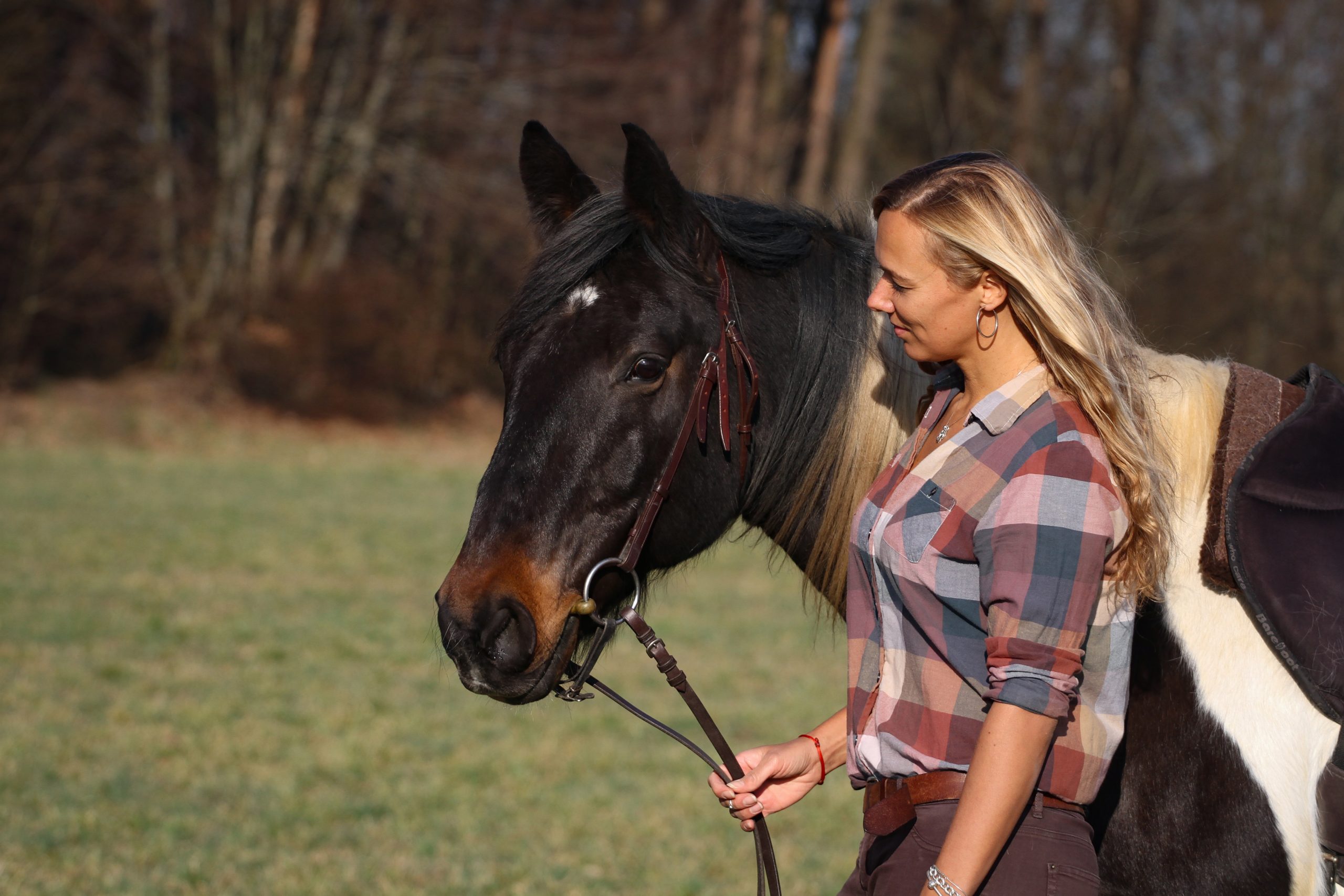 Catherin Seib in der Tierkommunikation mit einem Pferd
